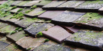 Coveney roof repair costs